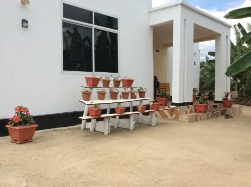 saadani pangani camps and tours - Breakfast