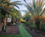 sunset garden - Private Pools