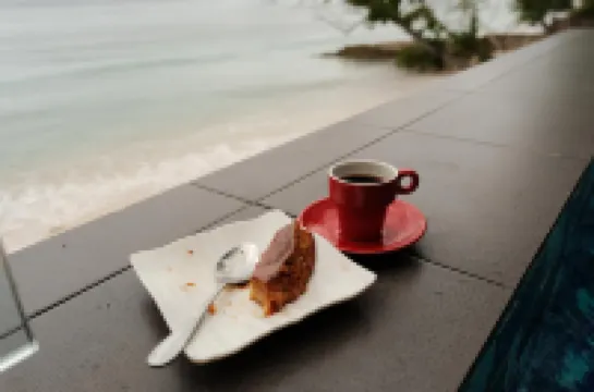 The French Villa-Santander Cebu