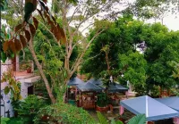 Nicole's Garden Naga