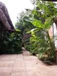 Calamarina Jeri iNViMOB - Jorge Alves CRECi 6446 F - Property (land, house,...) for Sale附近的飯店