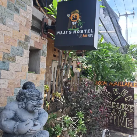 The fuji hostel