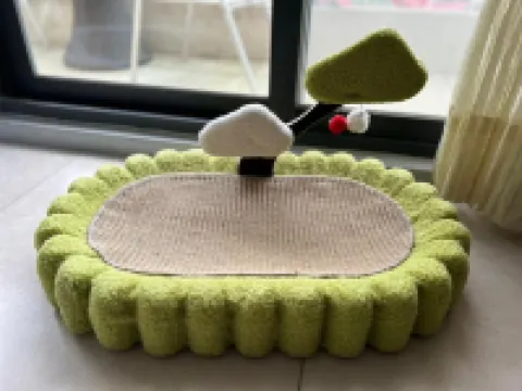 Matsu Star Yang Homestay 馬祖のホテル