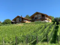 Seaside Lodge - premium apartment