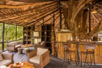 Tree House Hideaway - Homestays