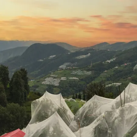 Splendid Retreat Hotels Kufri