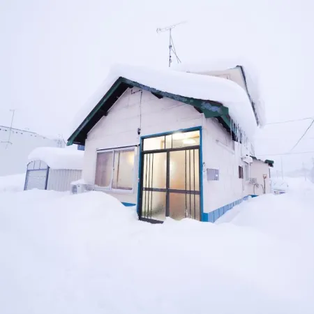 Nordic House