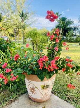 Fueng Fah Villa Sea Views Отели рядом с достопримечательностью «Wat Yang Yai»