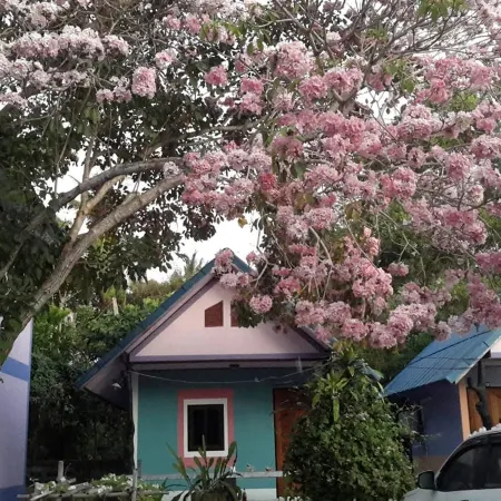 Rungarun Resort