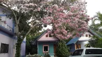 Rungarun Resort - Resorts