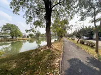 曼谷隱祕人文客房 - 家庭旅館