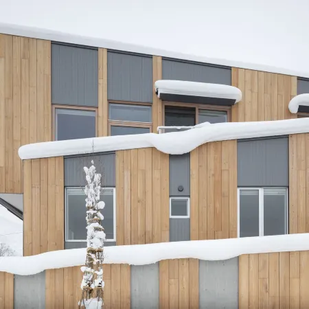 Silver Dream by H2 Life