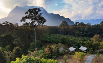 Vieng Pun Dao Resort