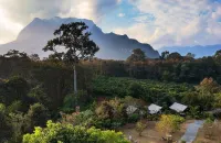 Vieng Pun Dao Resort - Morgenmad