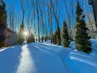 [TV] Luxury adult secret base villa 120 ㎡ Sauna, stone bath, bonfire, BBQ [Mori building] Hotels in Miyota