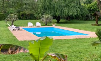 paradisiacal chalet on the banks of the Marne