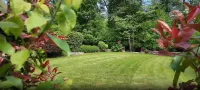 Domaine Macky - Luxury Historic Farmhouse in the Mountains - Villas
