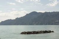 Dimore De Luca - Mare Mìa - Bungalows
