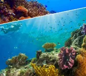 Dhiffushi Tourist Hotel Hotels in Dhiffushi