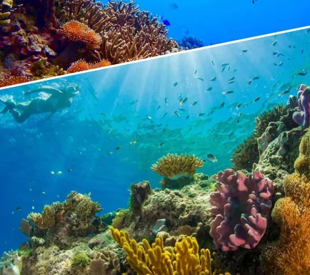 Dhiffushi Tourist Hotel Отели рядом с достопримечательностью «Meeru Island Resort and Spa»