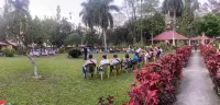 Chitwan Park Resort Hotels in Ratnanagar