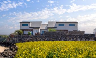 Hamdeok Beach and Gimnyeong Beach sea view accommodation 5 minutes walk from London Beagle Monttan