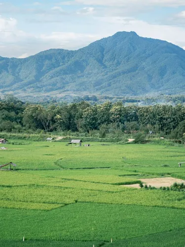 รูปภาพของ1000นาวิว รีสอร์ท