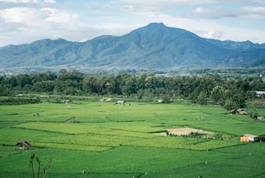 รูปภาพของ1000นาวิว รีสอร์ท