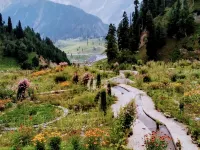 Himalayan Herbal Resorts Hotels in Ganderbal
