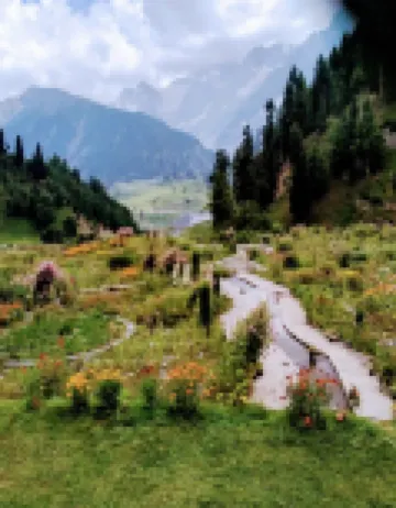 Himalayan Herbal Resorts