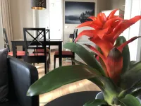 Sehnsucht Ruegen Holiday Apartement - 3-Star