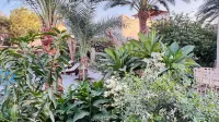 Beit El Abd Oasis Retreat & Private Homes Hotel a 