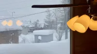 Furano The Nest - Kitanomine Ski | Tomita Farm