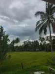 Benang Kelambu Cottage