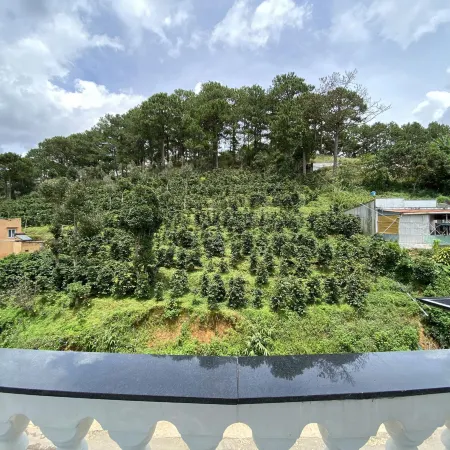 SHIN VILLAGE