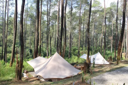 Lembah Pinus Отели рядом с достопримечательностью «Тангкубан»