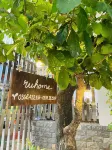 Ruhome - Central Quy Nhon Homestay near the Beach - Pet friendly