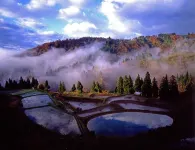 Bullfighting and Nishikigoi Traditional Culture Center 小千谷市住宿飯店