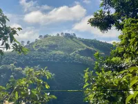 Nha Trong Suong - Homestay Bao Loc - Homestays