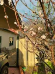 5BR 2.5BTH Family Retreat Game Room and Big Backyard - Villas