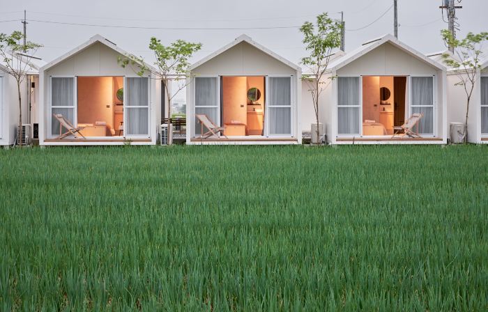 Sunwild BnB