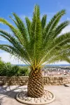 Elegant & Cosy Studio in the Heart of Historic Hyères - 3-نجوم