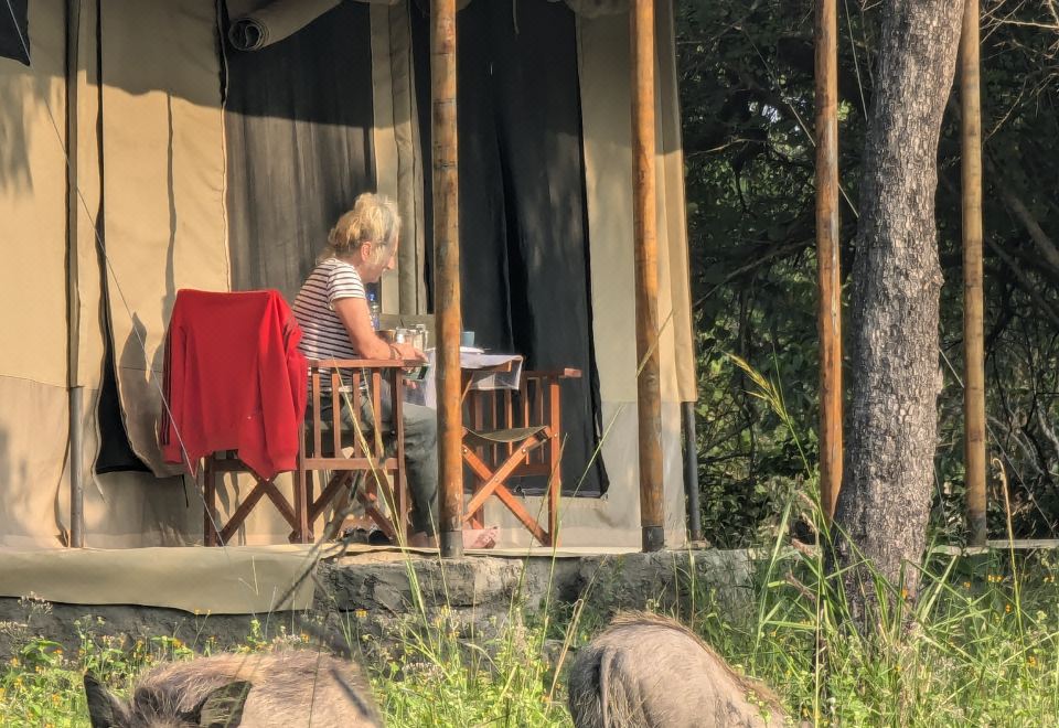 더블G 사파리 앤드 캠프 미쿠미 객실