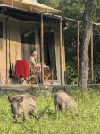 Double G Safaris and Camp Mikumi