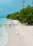 Kuri Himandhoo Inn Hotels in Moofushi