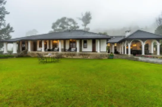 Garfield Bungalow by TONIK Hotels in 