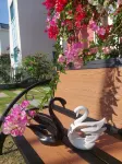 Carot Villa Novaworld Phan Thiet - Villas