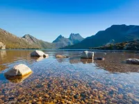 Discovery Resorts - Cradle Mountain 搖籃山酒店