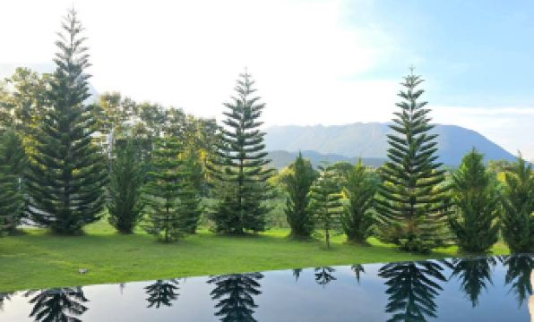 Saprung On the Mountain