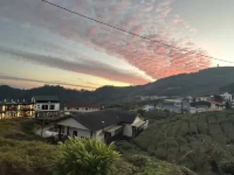 The sky of the elephant